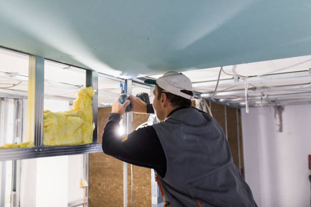 Best Insulation Repair Services  in Ewa Beach, HI