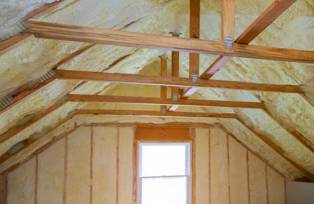 Insulation Inspection Services in Ewa Beach, HI